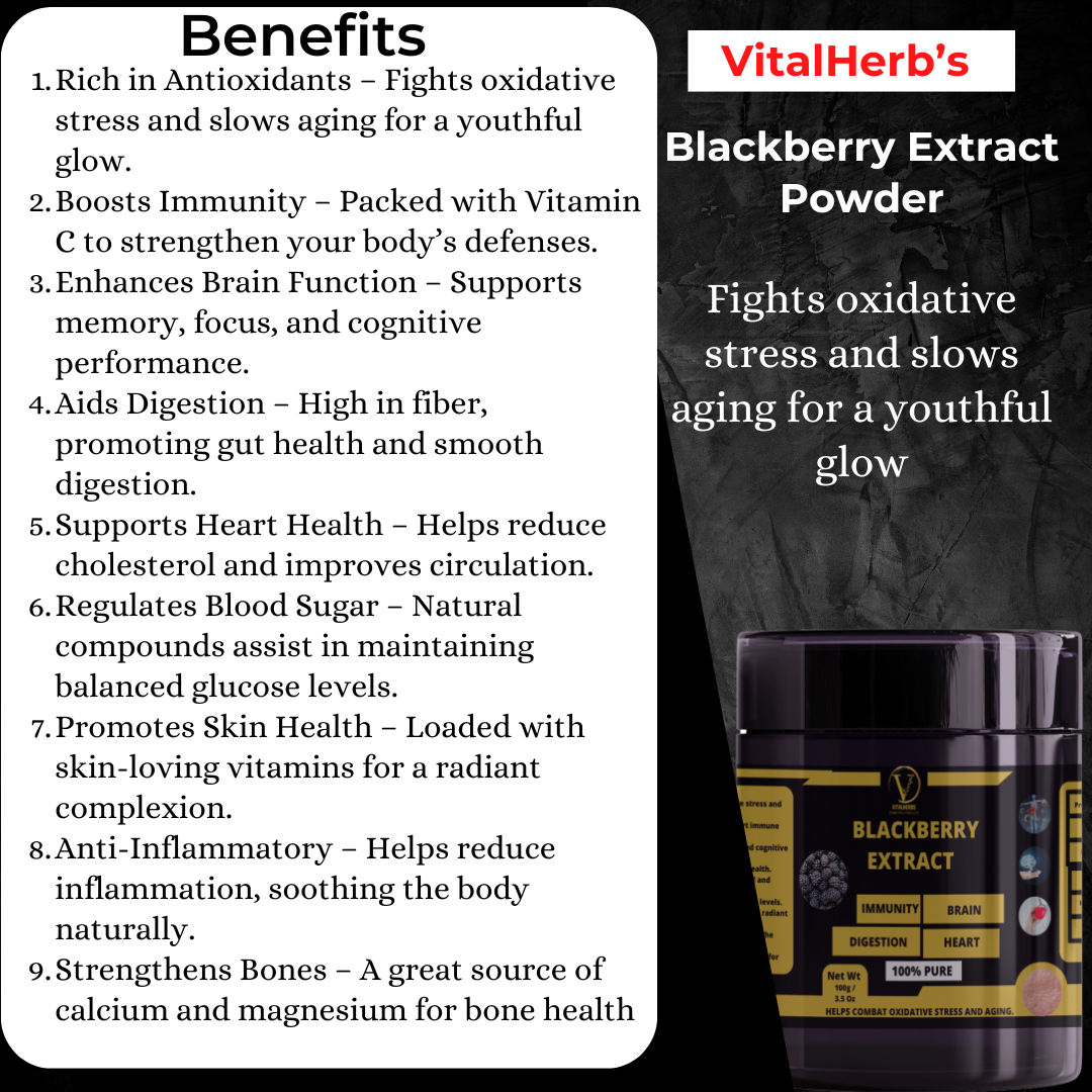 Blackberry Extract Powder – 100g - Image 2