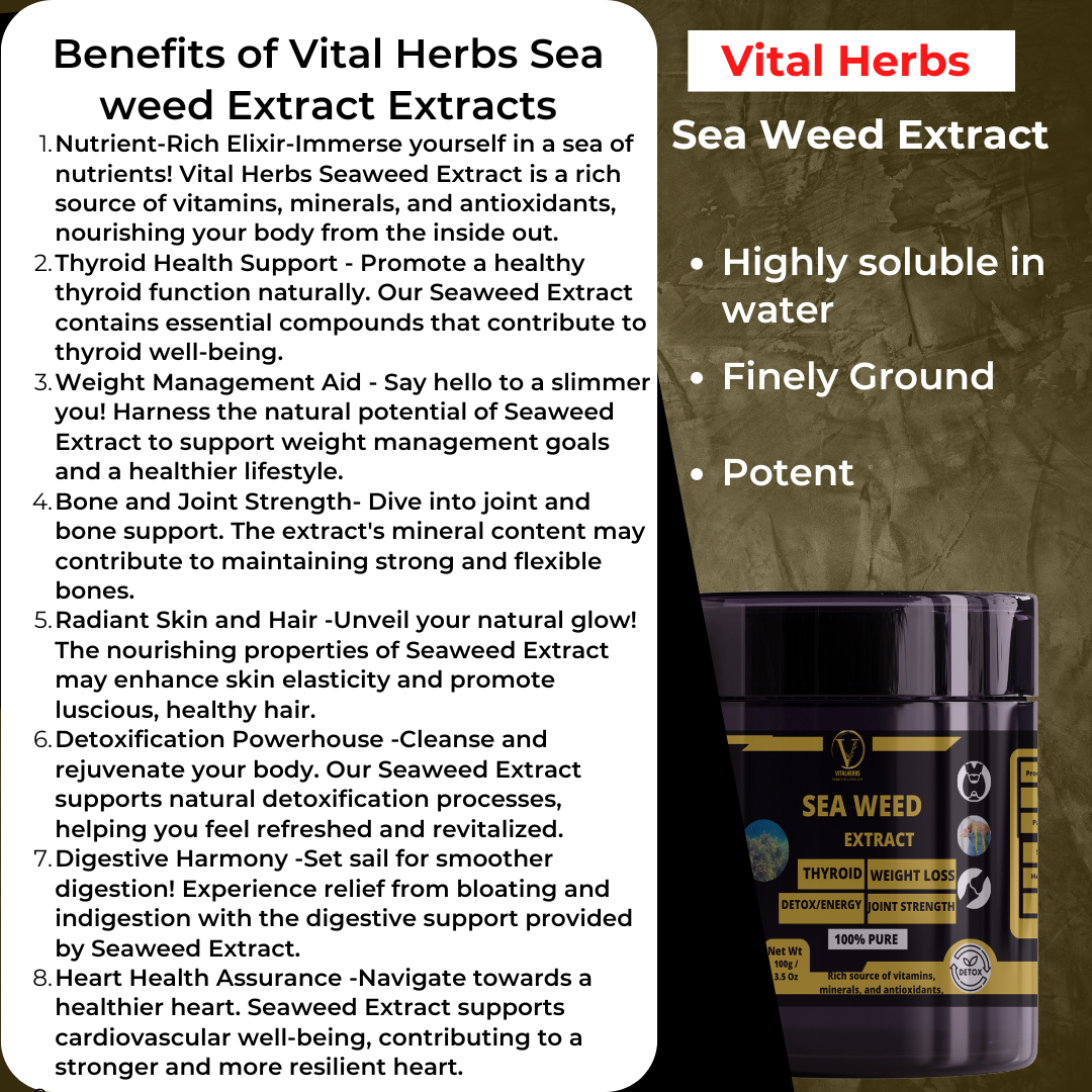 Sea Weeds Extract Powder – 100g - Image 2