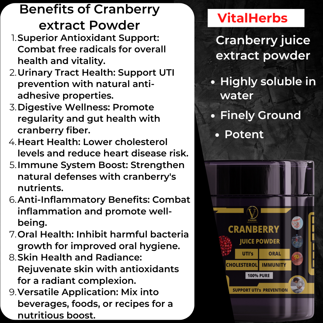 Cucumber Extract Powder – 100g - Image 2