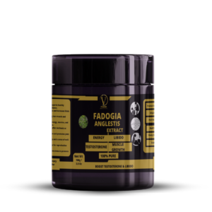 Fadogia Agrestis Extract Powder – 100g