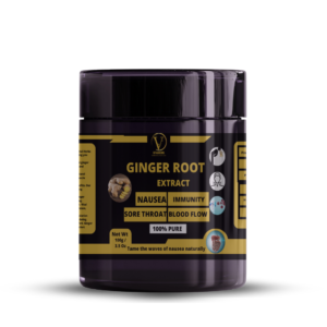 Ginger Root Extract Powder – 100g