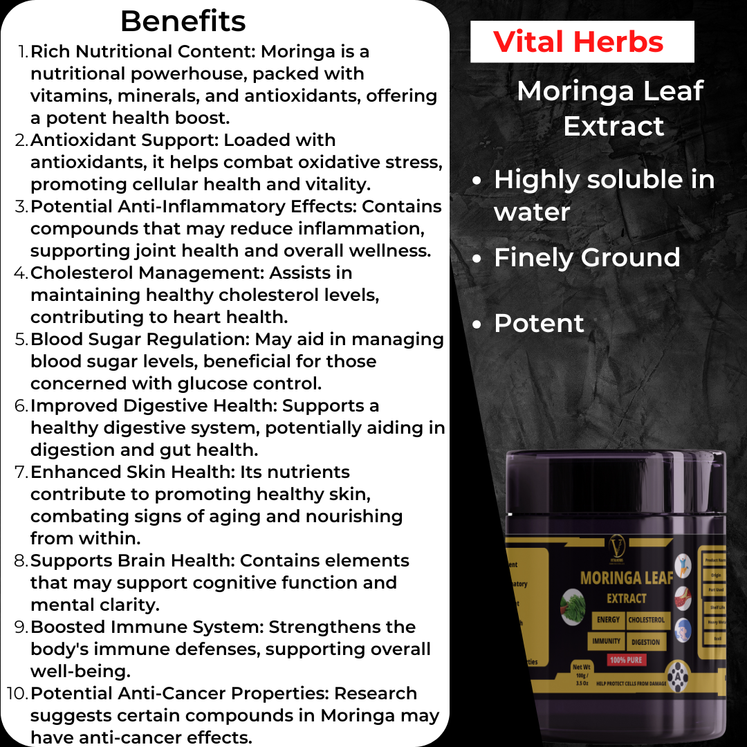 Moringa Leaf Extract Powder – 100g - Image 2