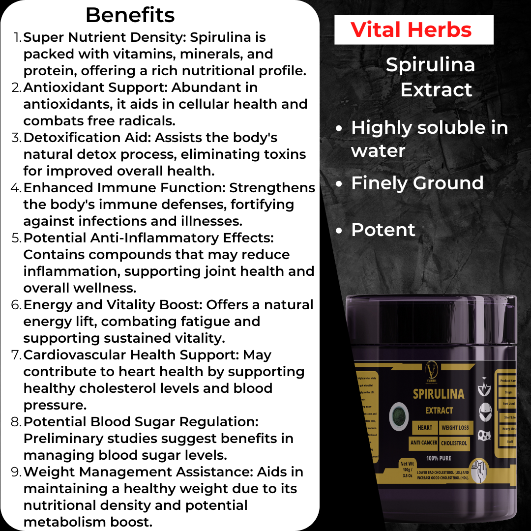 Spirulina Extract Powder – 100g - Image 2