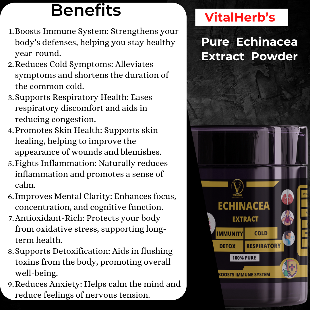 Echinacea Extract Powder – 100g - Image 2