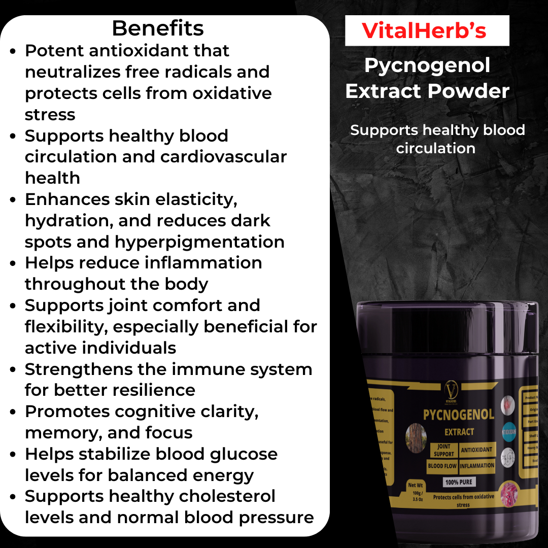 Pycnogenol® Extract Powder – 100g - Image 2