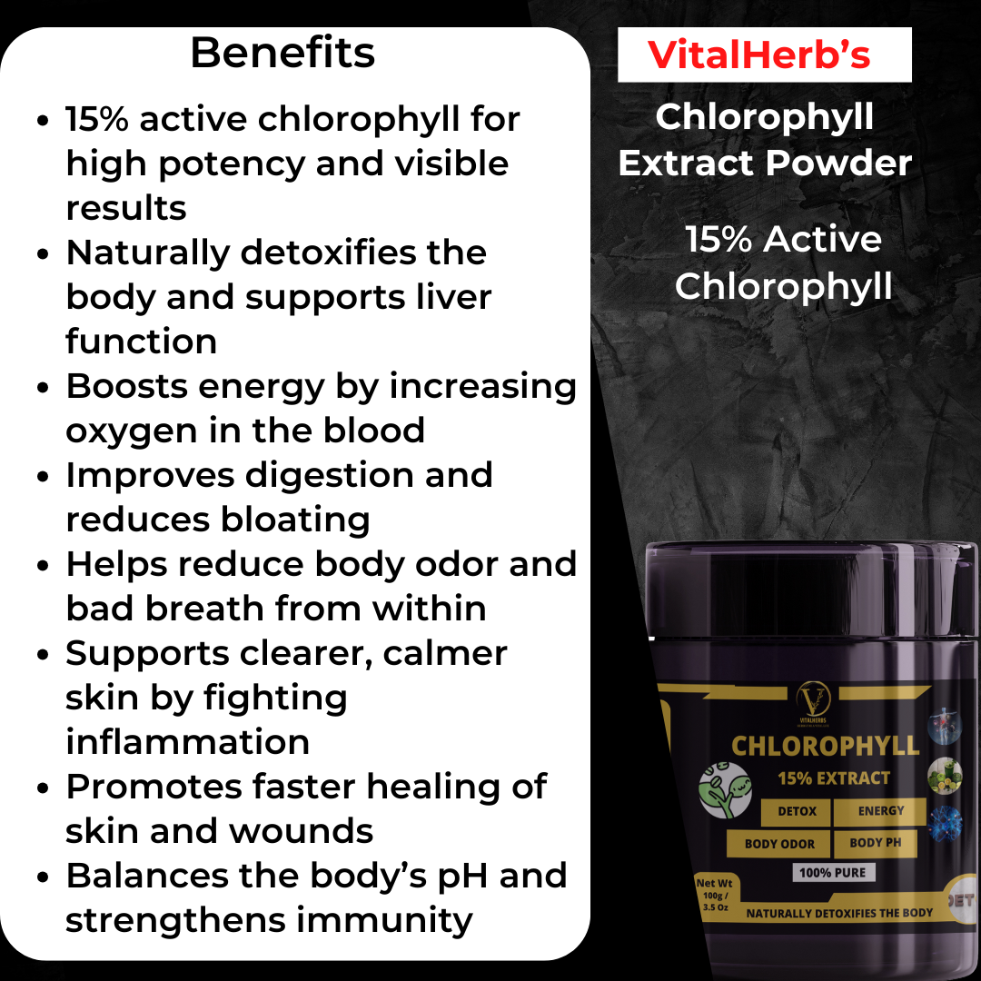 Chlorophyll Extract Powder – 100g - Image 2